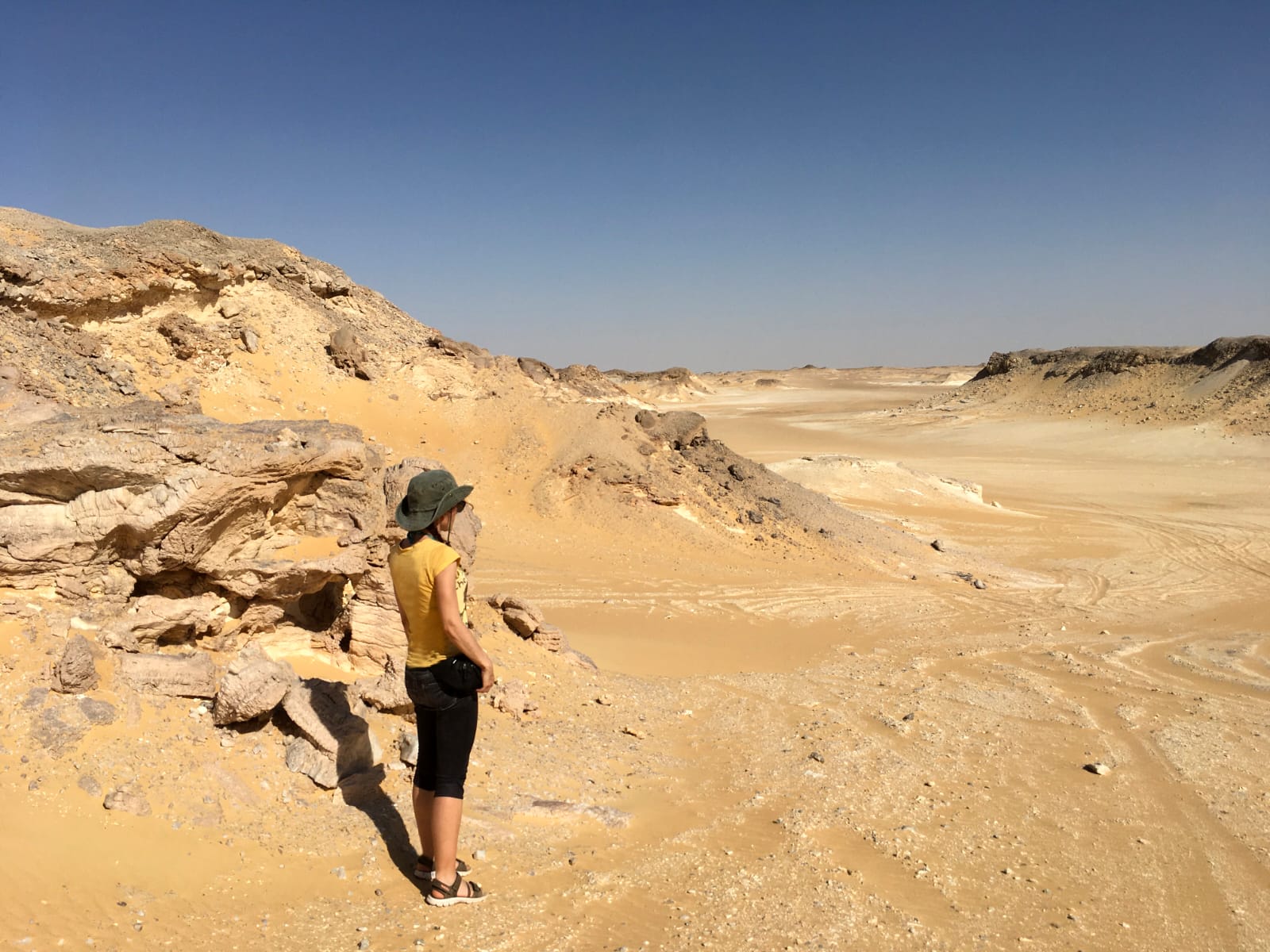 Escursione al wadi el Hitan valle delle balene da Port Said